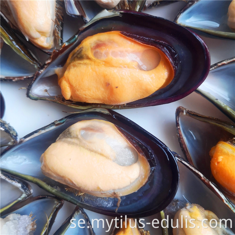 högkvalitativ fryst färsk kokt grön mussla